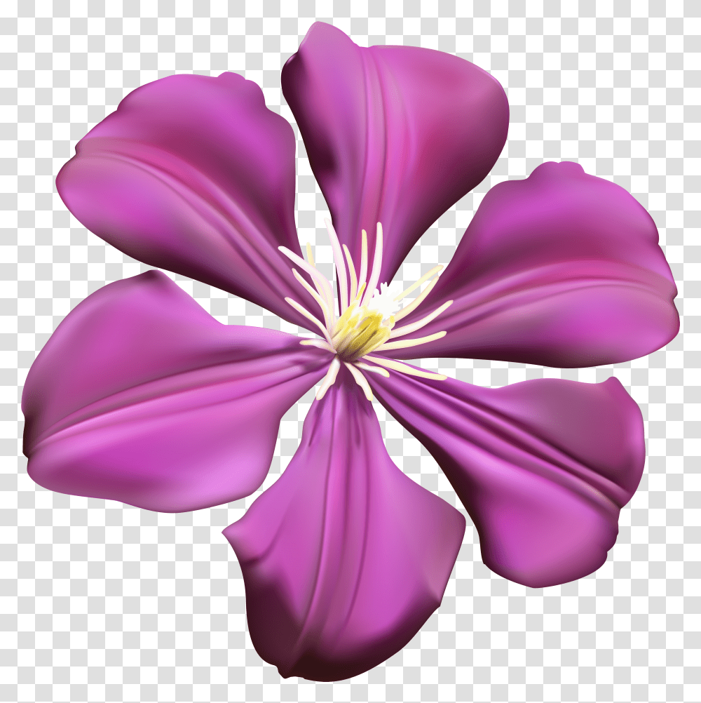 Purple Flower Purple Flower Clip Art Image Clipart For Flowers Background Transparent Png