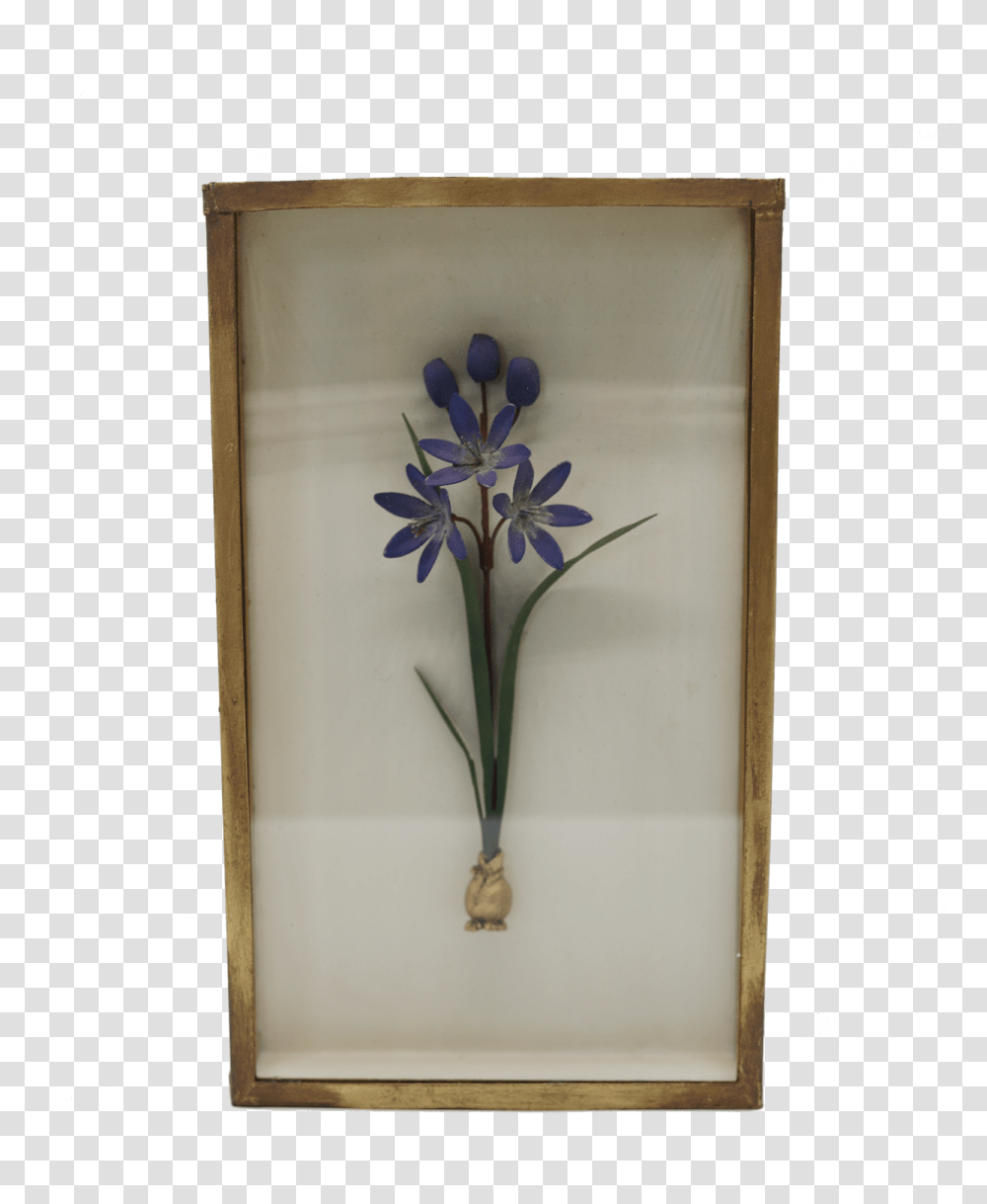 Purple Flower Shadow BoxSrcset Cdn Camas, Furniture, Canvas, Cabinet, Plant Transparent Png