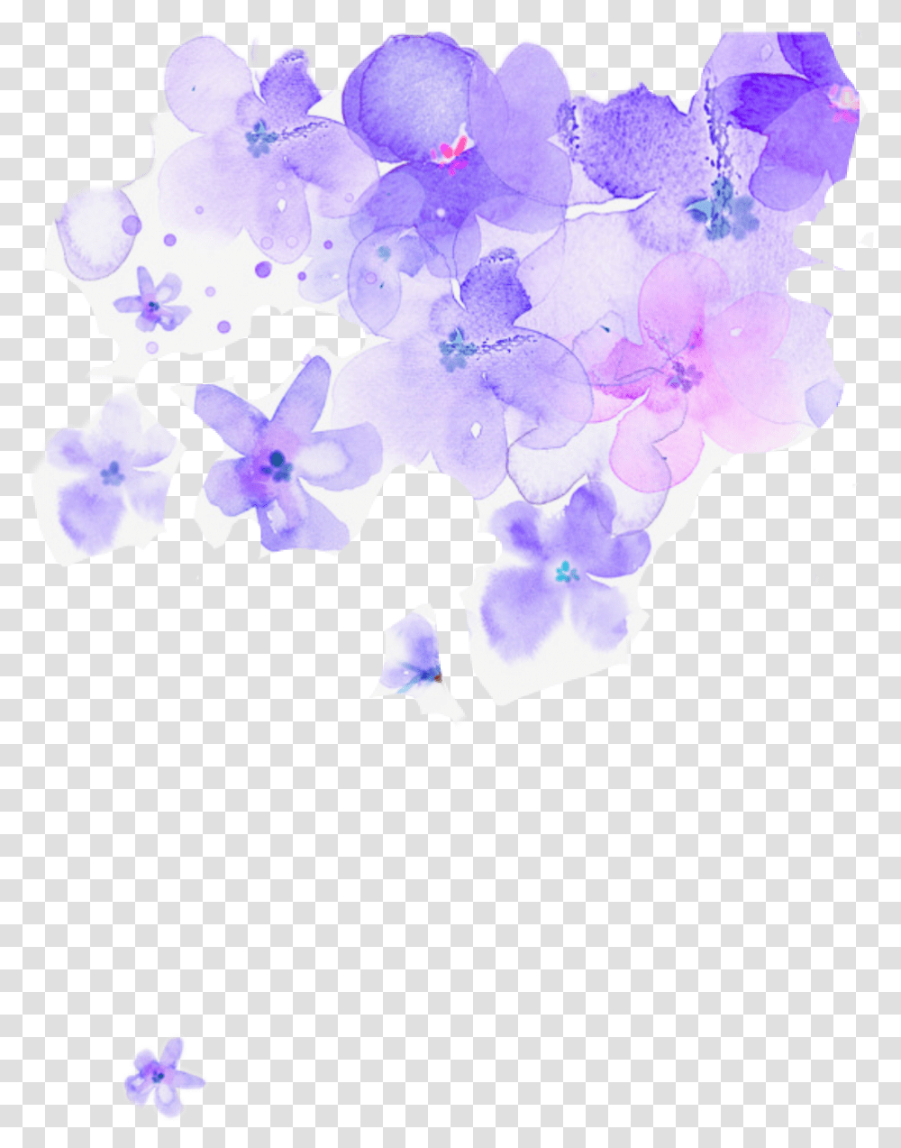 Purple Flower Watercolor Background Purple Flowers, Graphics, Art, Plant, Floral Design Transparent Png