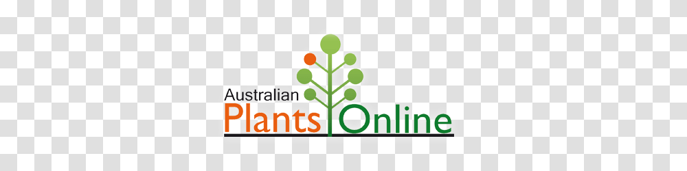 Purple Flowering Plants Australian Plants Online, Tree Transparent Png