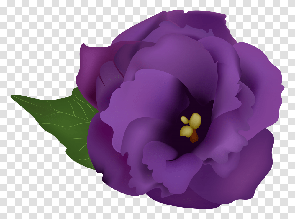 Purple Flowers Clipart Free Download Best Purple Gladiolus Clipart, Plant, Rose, Blossom, Pollen Transparent Png