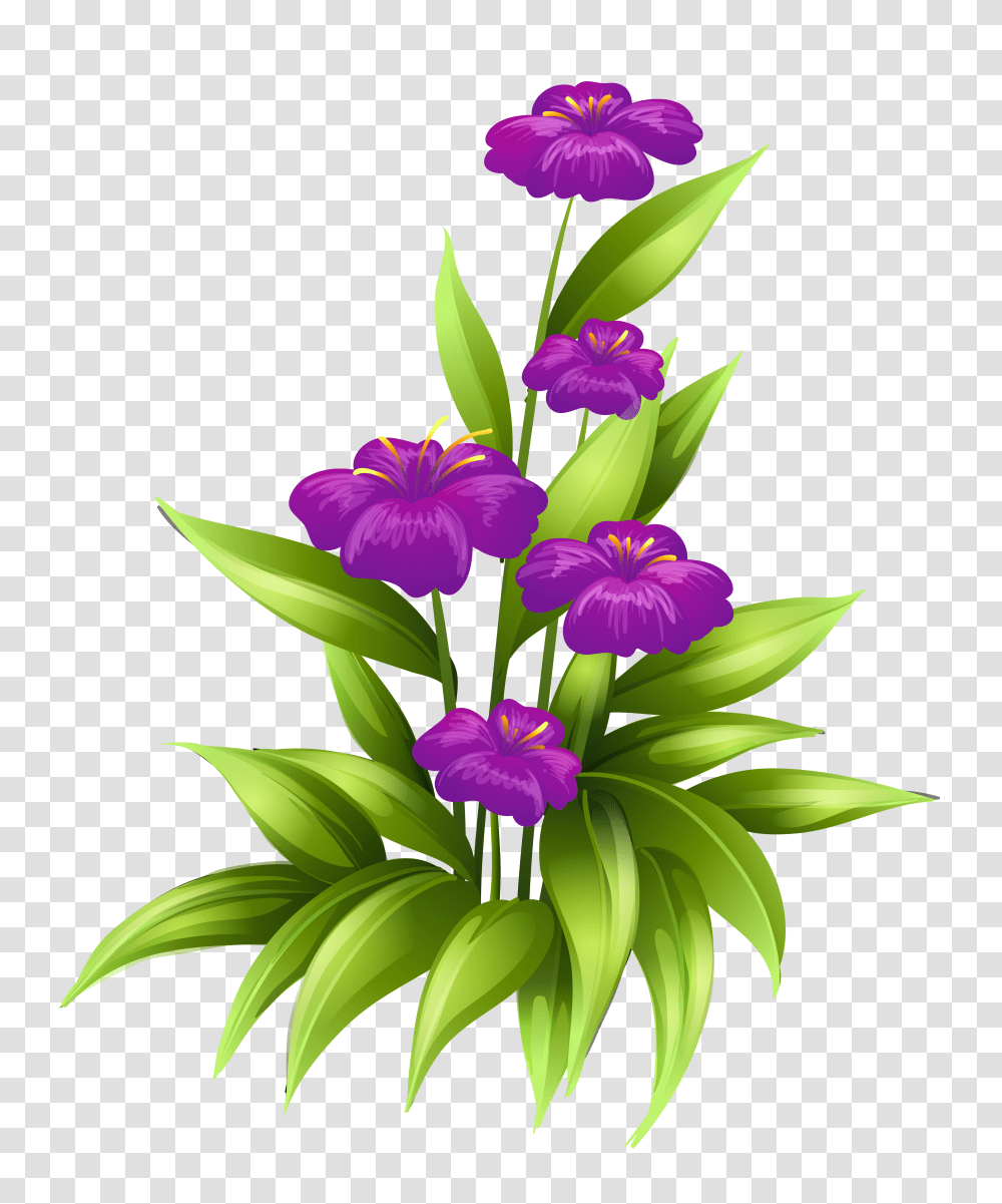 Purple Flowers Clipart Picture, Plant, Blossom, Iris, Flower Arrangement Transparent Png
