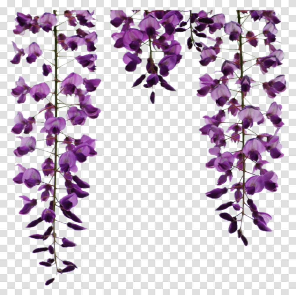 Purple Flowers Hanging Flowers, Plant, Petal, Foxglove, Geranium Transparent Png