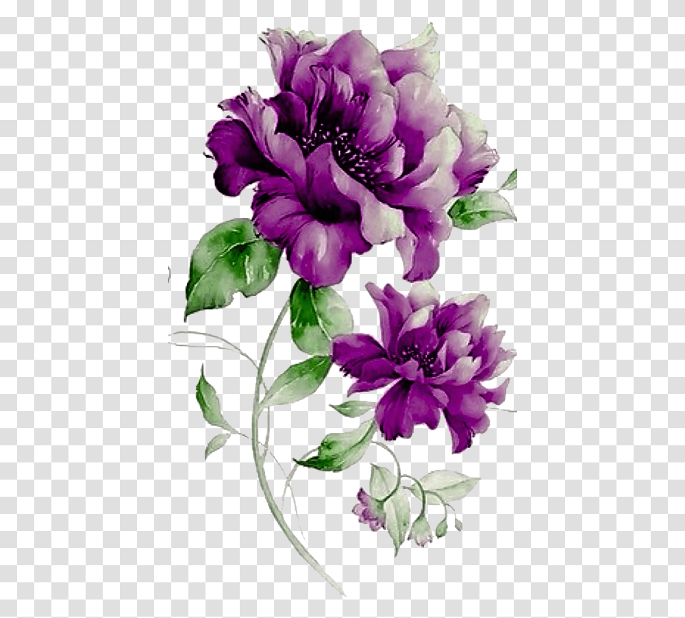 Purple Flowers Photo, Plant, Blossom, Petal, Peony Transparent Png