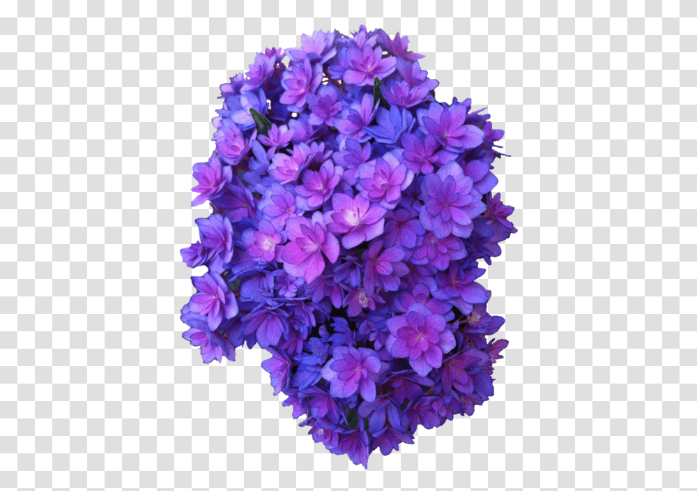 Purple Flowers Purple Flowers Background, Plant, Blossom, Geranium, Dahlia Transparent Png