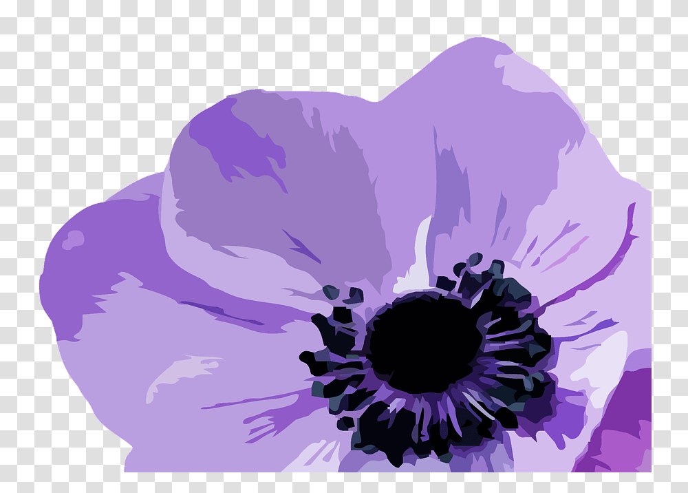 Purple Flowers Vector, Plant, Petal, Blossom, Anemone Transparent Png