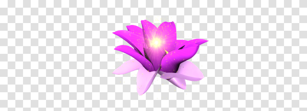 Purple Glow Flower Psd Vector Graphic Glowing Flowers, Plant, Petal, Pond Lily, Light Transparent Png