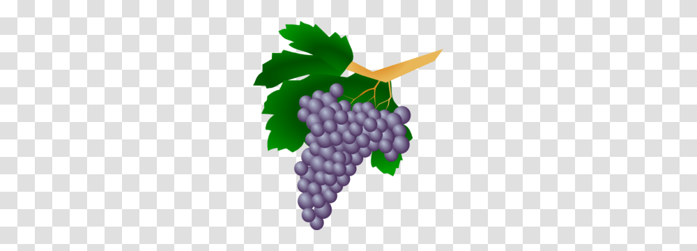Purple Grapes Clip Art, Plant, Fruit, Food, Vine Transparent Png