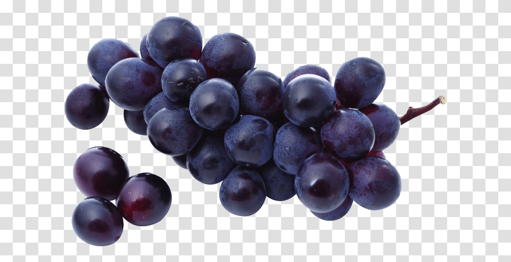 Purple Grapes Clipart Purple Grapes, Plant, Fruit, Food, Blueberry Transparent Png