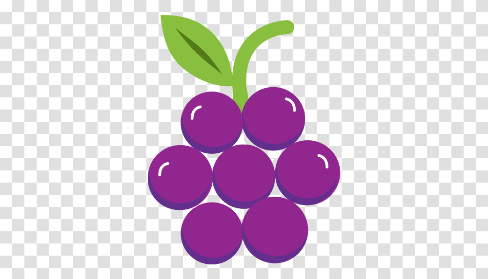 Purple Grapes Icon And Svg Vector Dot, Plant, Fruit, Food Transparent Png