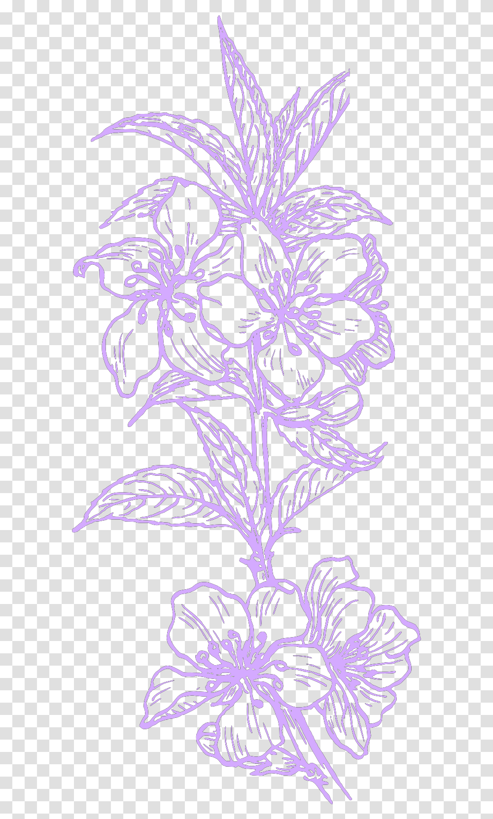 Purple Hawaiian Flower Svg Vector Floral, Graphics, Art, Floral Design, Pattern Transparent Png