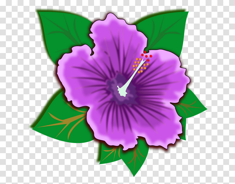 Purple Hawaiian Hibiscus Flower Clipart Free Download Rainforest Plants Clip Art, Blossom, Geranium, Pollen, Anther Transparent Png