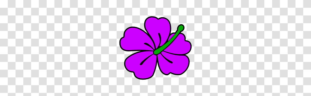 Purple Hibiscus Flower Clip Art Free Borders And Clip Art, Plant, Blossom, Petal, Dynamite Transparent Png