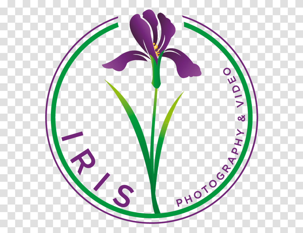 Purple Iris Iris, Plant, Flower, Logo Transparent Png