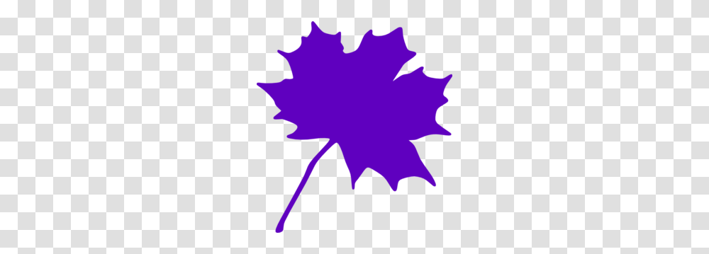 Purple Leaf Clip Art, Plant, Maple Leaf, Person, Human Transparent Png