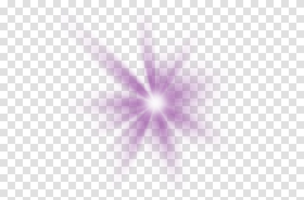Purple Light Beam, Leaf, Plant, Flare, Sunlight Transparent Png