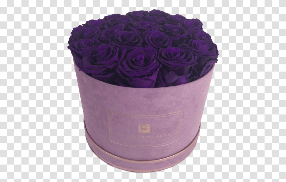 Purple Long Lasting Roses In A Medium Round Suede Box Garden Roses, Flower Bouquet, Flower Arrangement, Plant, Blossom Transparent Png