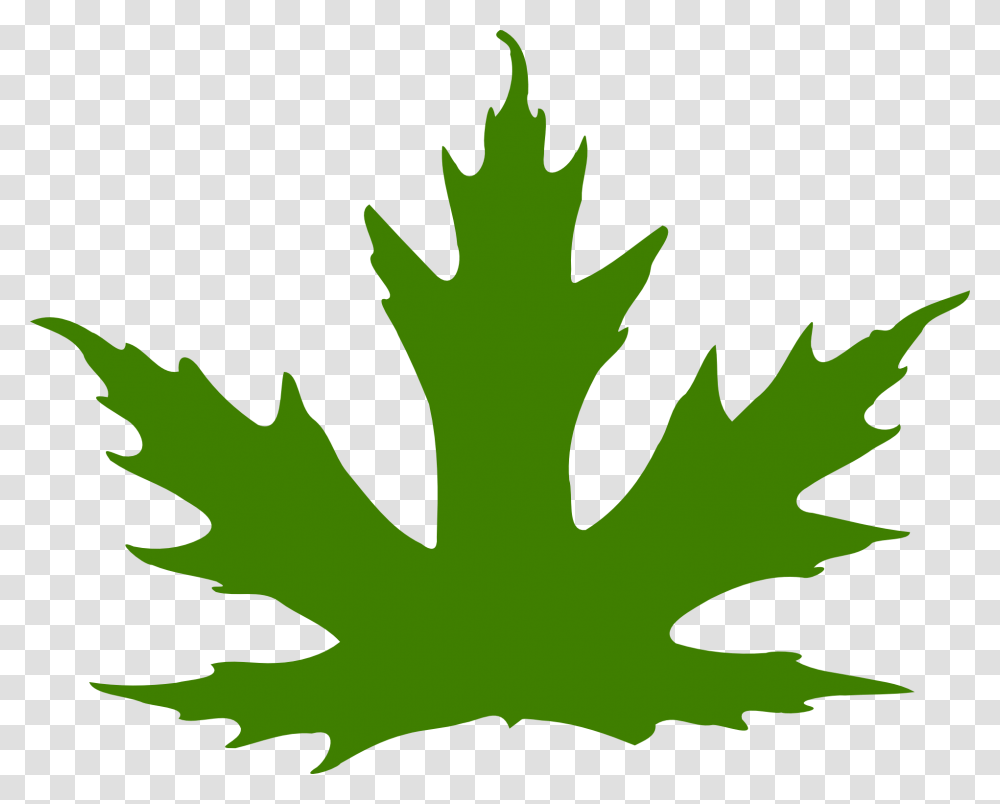 Purple Maple Leaf Clipart, Plant, Tree, Painting Transparent Png