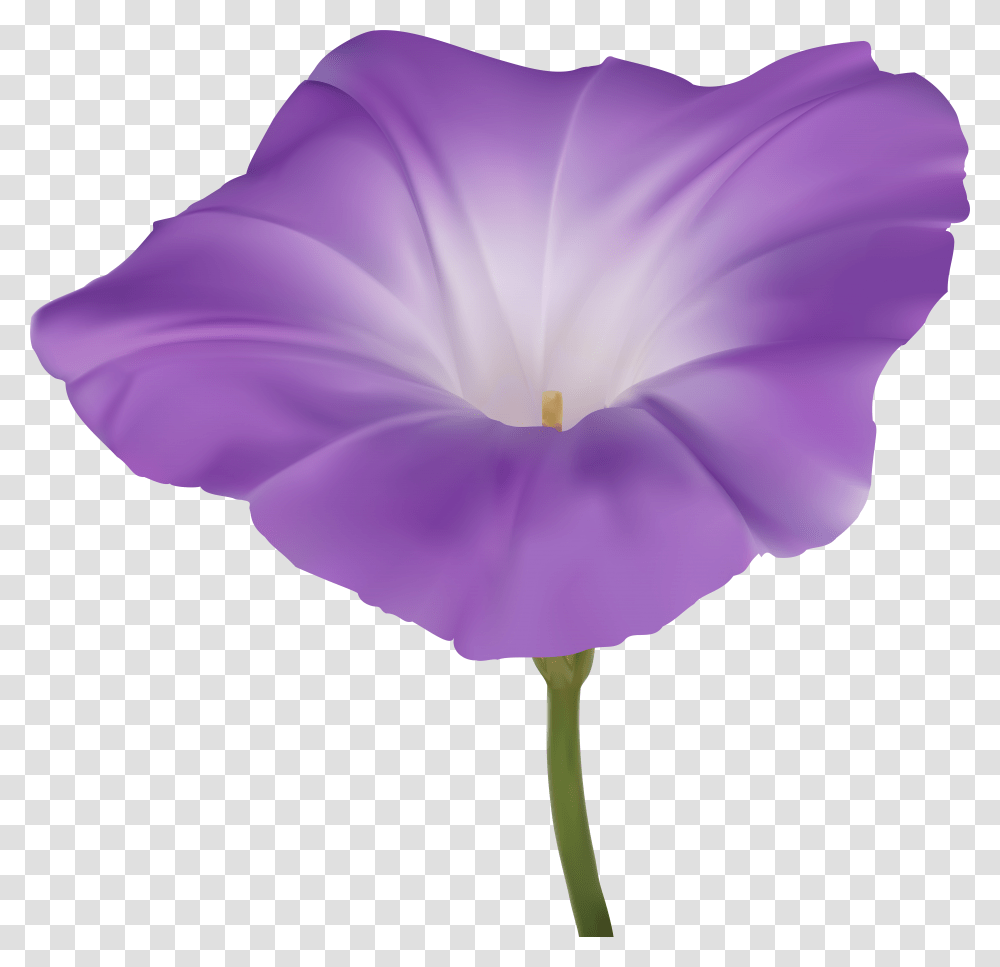 Purple Morning Glory Flower Clip Art Image Transparent Png