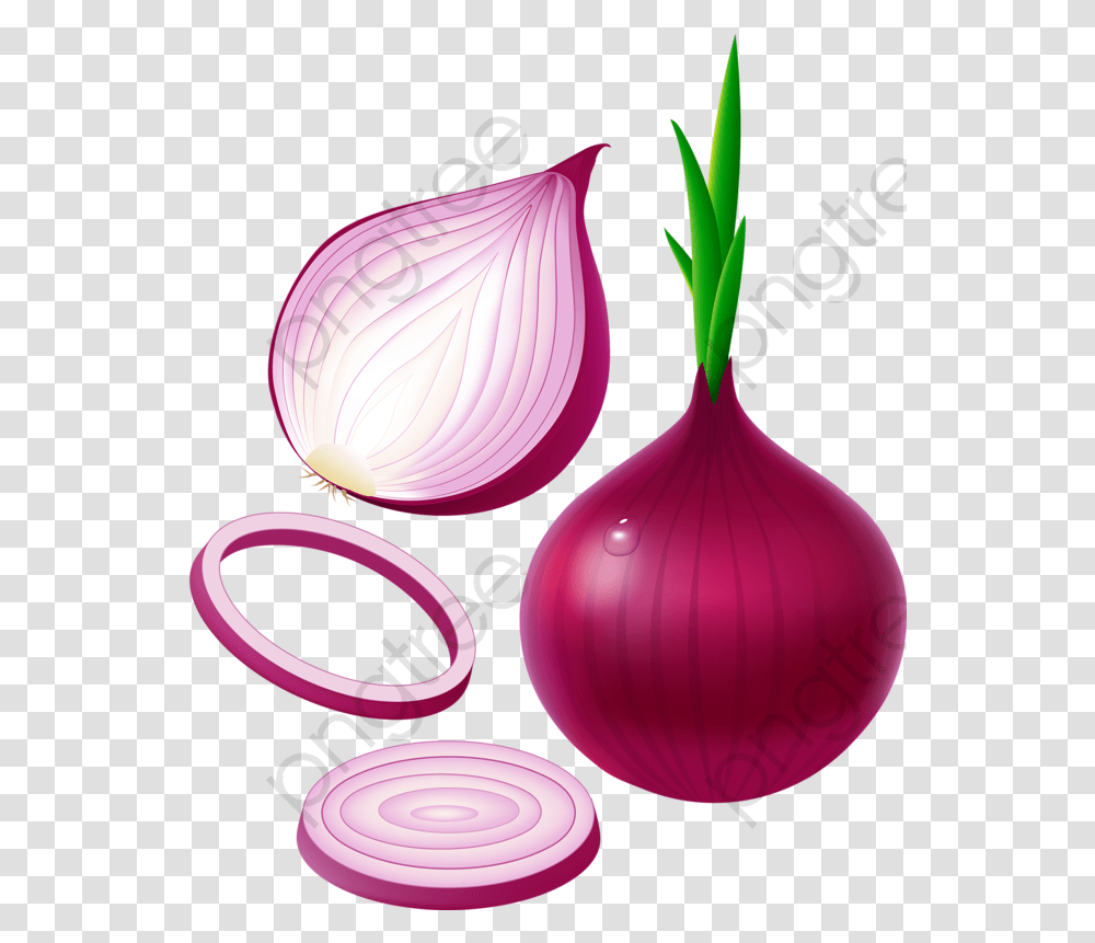 Purple Onion C Hnh Mc Mm, Plant, Shallot, Vegetable, Food Transparent Png