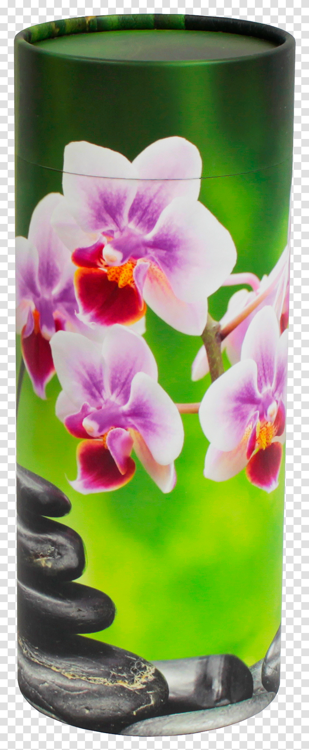 Purple Orchid Flower With Bamboo Stone Download Orchids Transparent Png