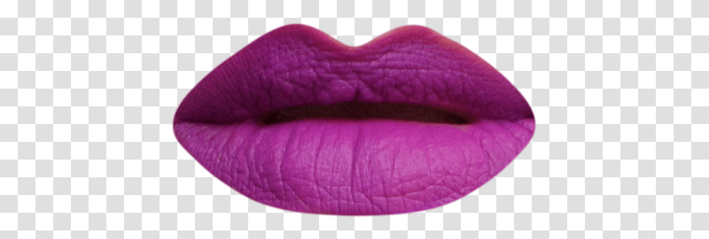 Purple Poison Lip Care, Mouth, Teeth, Tongue, Scarf Transparent Png