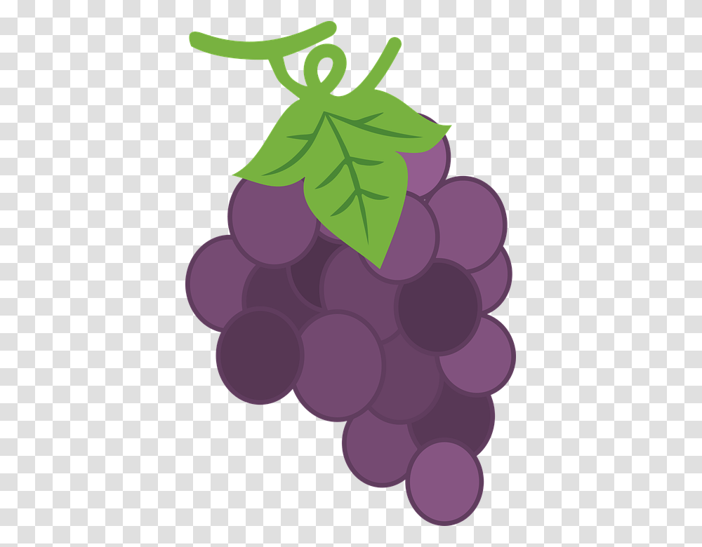 Purple Purple Grape Fruit Food Healthy Yellow Seedless Fruit, Plant, Grapes Transparent Png