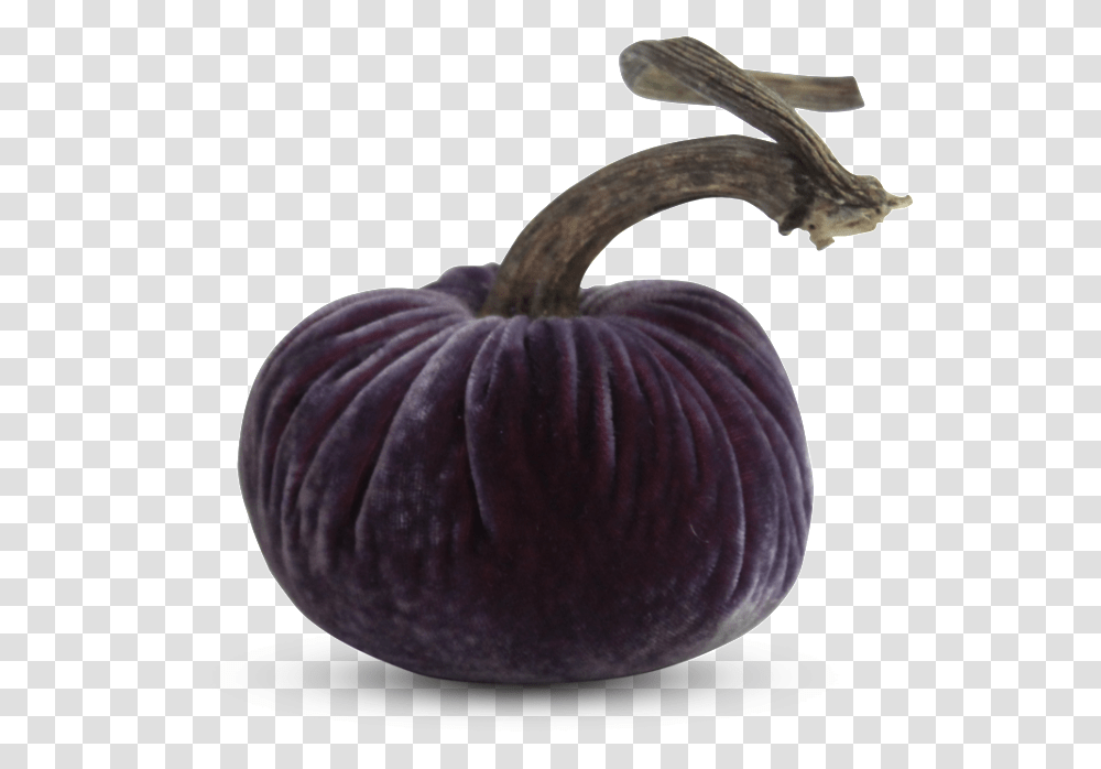 Purple Rain TrioData Image Id Pumpkin, Plant, Vegetable, Food, Fruit Transparent Png