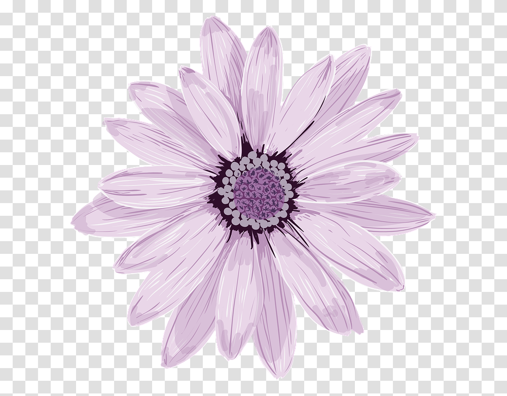 Purple Redbubble Stickers, Plant, Daisy, Flower, Daisies Transparent Png