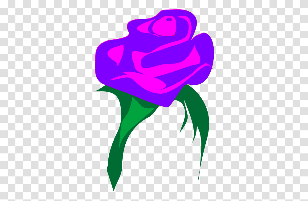 Purple Rose Clip Arts For Web, Flower, Plant, Blossom, Carnation Transparent Png