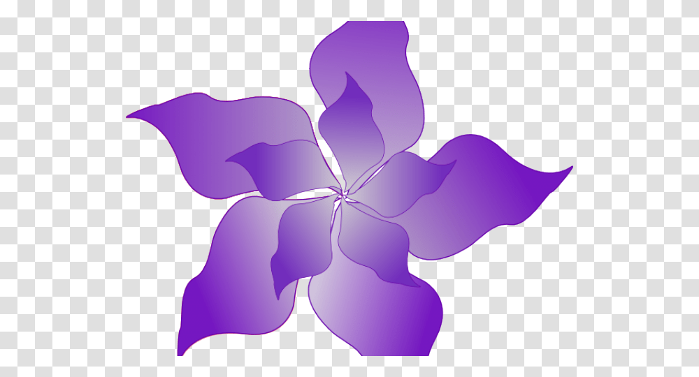 Purple Rose Clipart Clip Art, Petal, Flower, Plant, Blossom Transparent Png