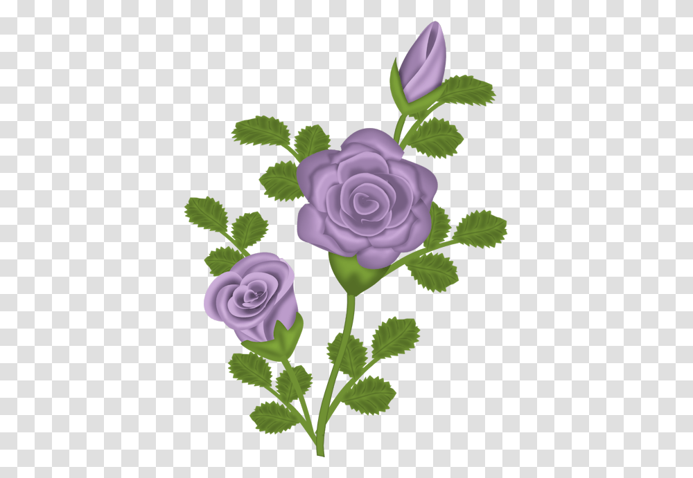 Purple Rose Clipart Image, Plant, Blueberry, Fruit, Food Transparent Png