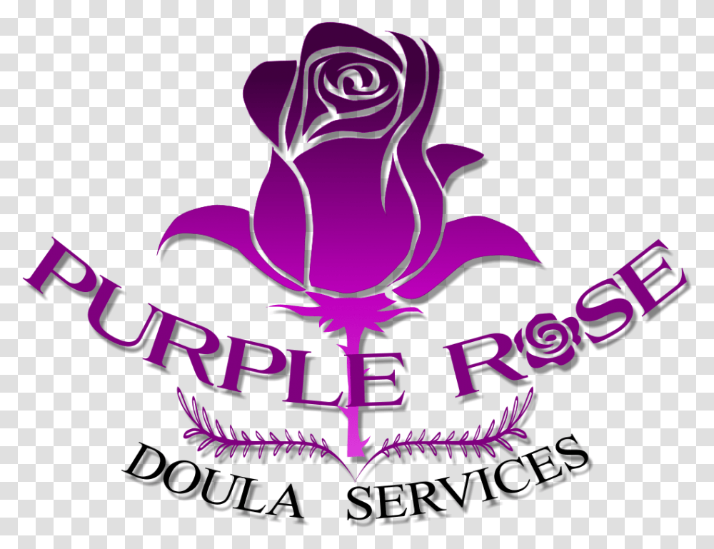 Purple Rose Doula Services Calgary Postpartum And Birth Doula Drop Of Water, Symbol, Plant, Flower, Outdoors Transparent Png
