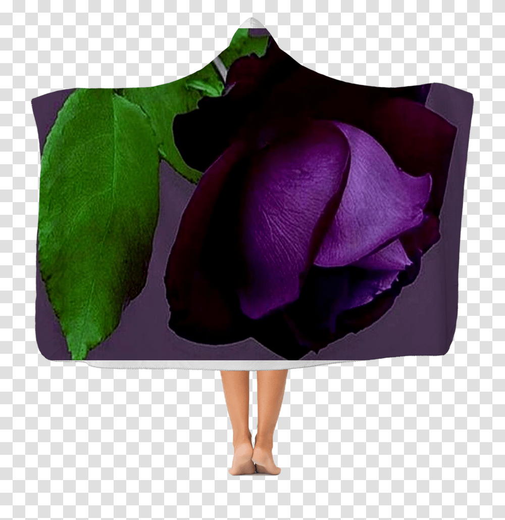Purple Rose, Flower, Plant, Blossom, Petal Transparent Png