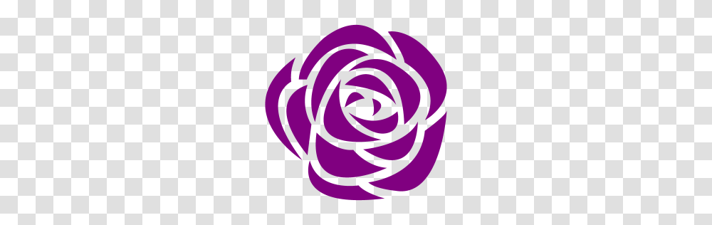 Purple Rose Icon, Maroon, Sweets, Food, Confectionery Transparent Png