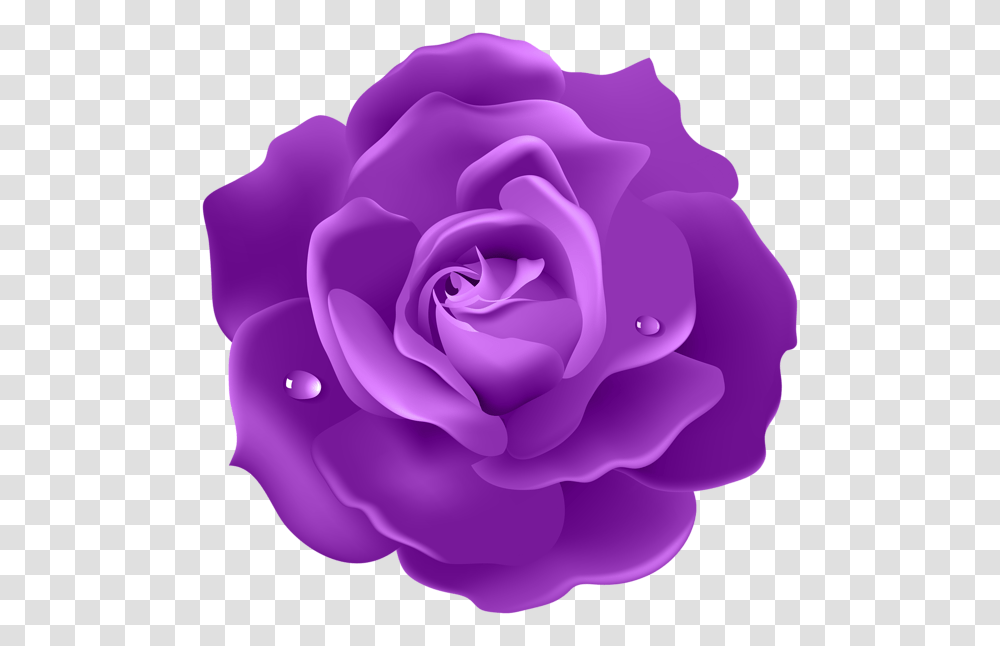 Purple Rose Image Crafty Purple Roses And Crafty, Flower, Plant, Blossom, Petal Transparent Png