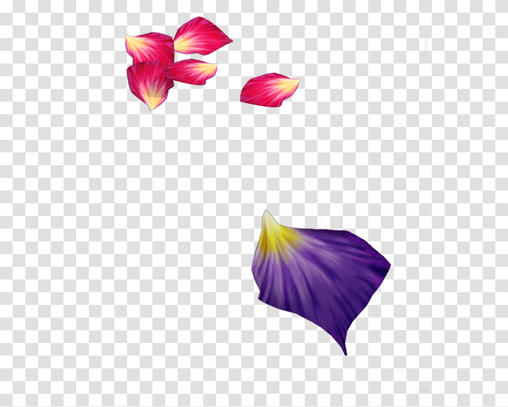 Purple Rose Petals Background, Flower, Plant, Blossom, Iris Transparent Png