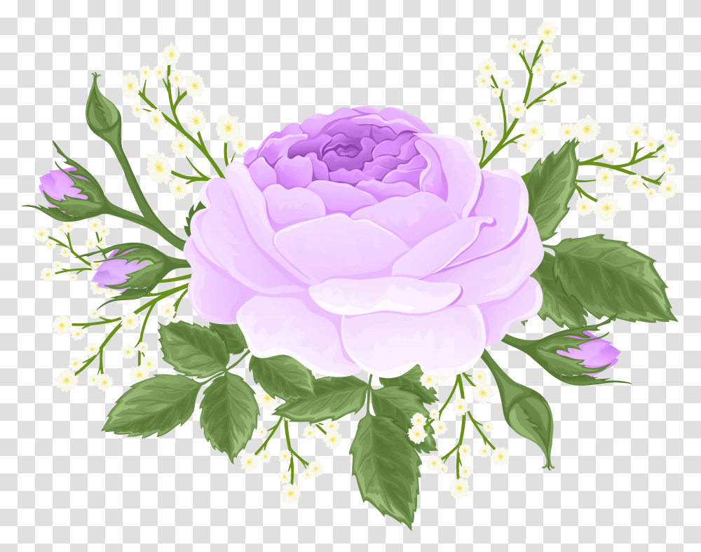 Purple Rose With White Flowers Clip Transparent Png