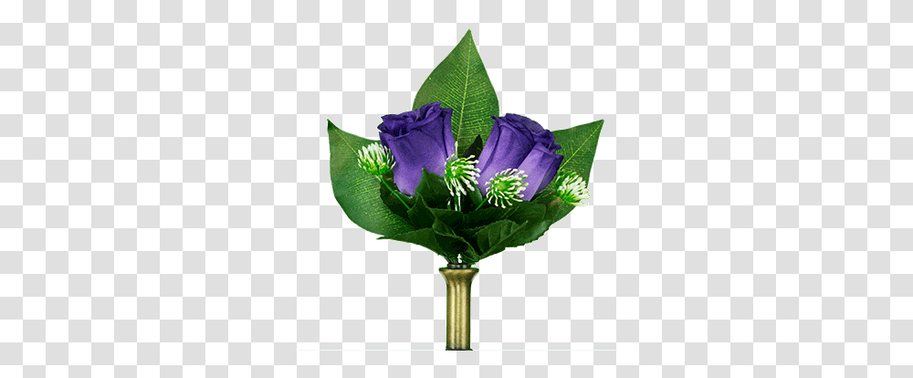 Purple Roses Garden Roses, Plant, Flower, Blossom, Iris Transparent Png