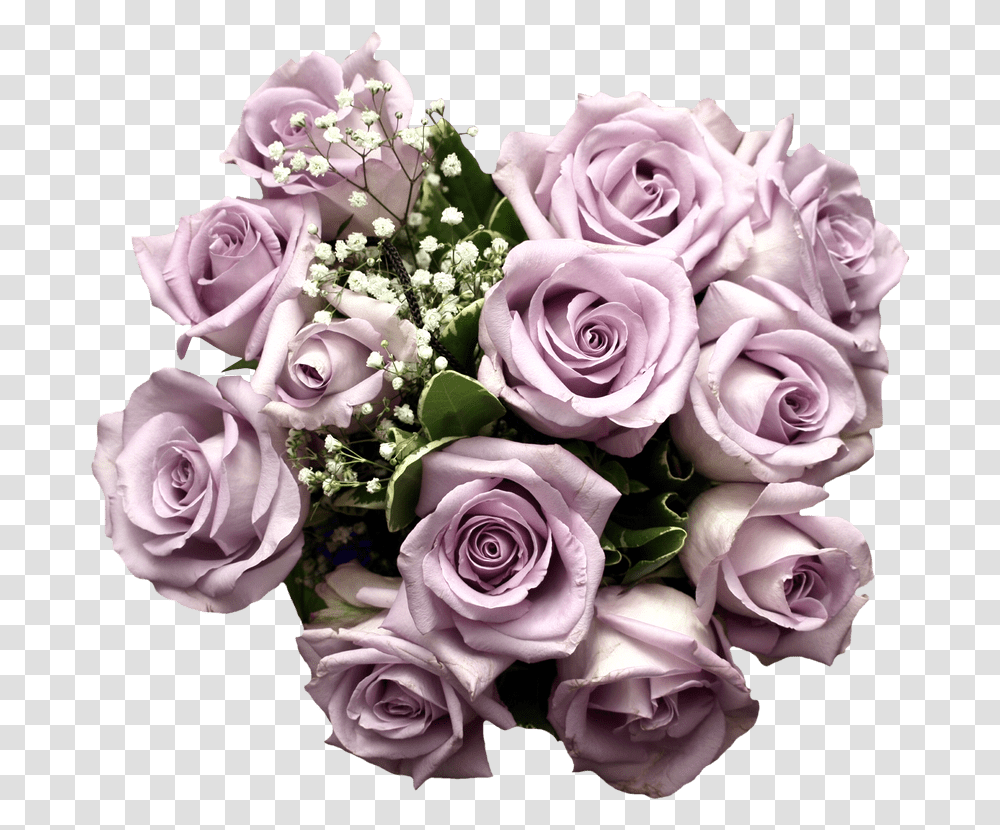 Purple Roses Light Purple Rose Bouquet, Plant, Flower Bouquet, Flower Arrangement, Blossom Transparent Png