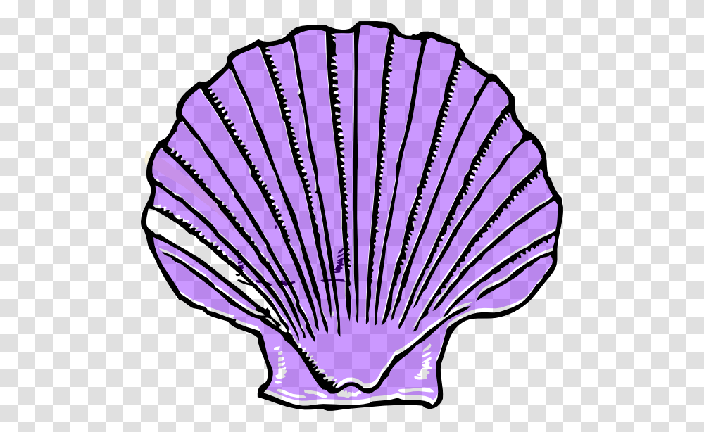 Purple Seashell Clipart, Clam, Invertebrate, Sea Life, Animal Transparent Png