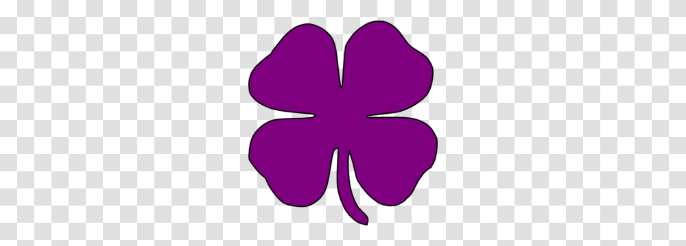 Purple Shamrock Clip Art, Flower, Plant, Blossom, Petal Transparent Png