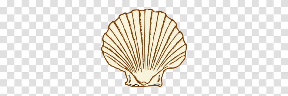 Purple Shell Clip Art, Clam, Seashell, Invertebrate, Sea Life Transparent Png