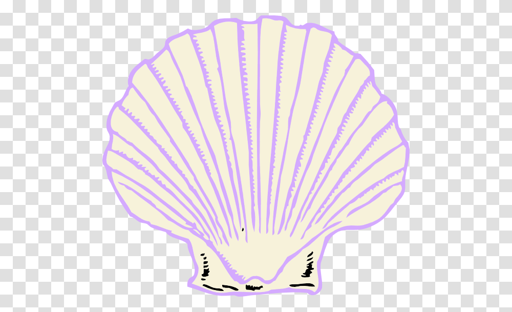 Purple Shell Clipart, Clam, Seashell, Invertebrate, Sea Life Transparent Png
