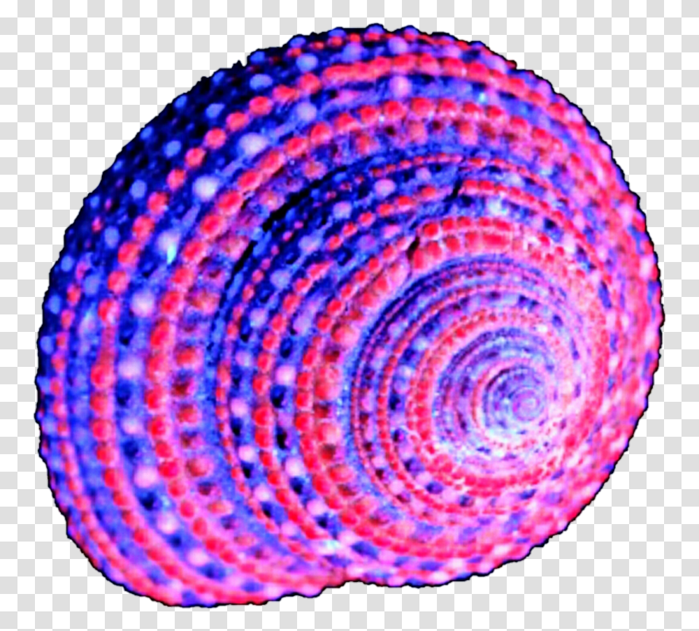 Purple Shell Clipart Pink And Purple Seashell, Spiral, Rug, Coil, Woven Transparent Png