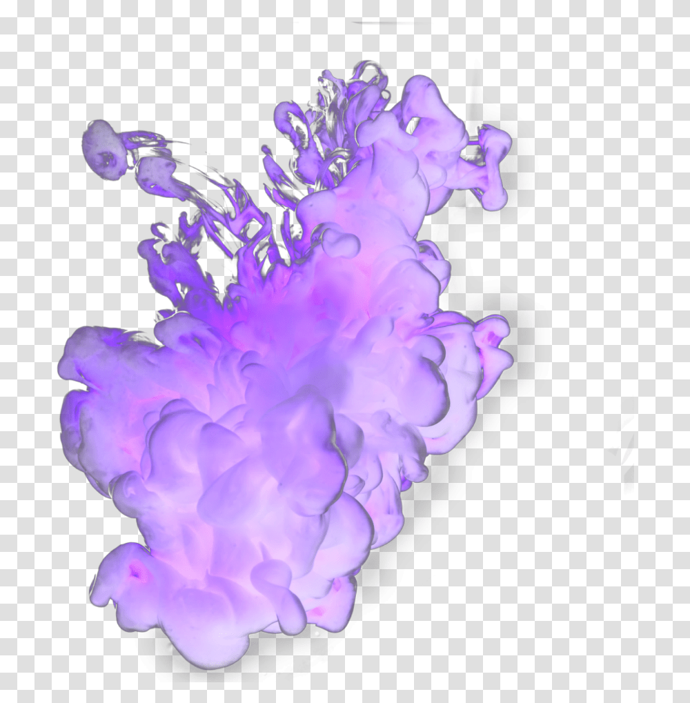 Purple Smoke Artificial Flower, Sea Life, Animal, Invertebrate, Jellyfish Transparent Png