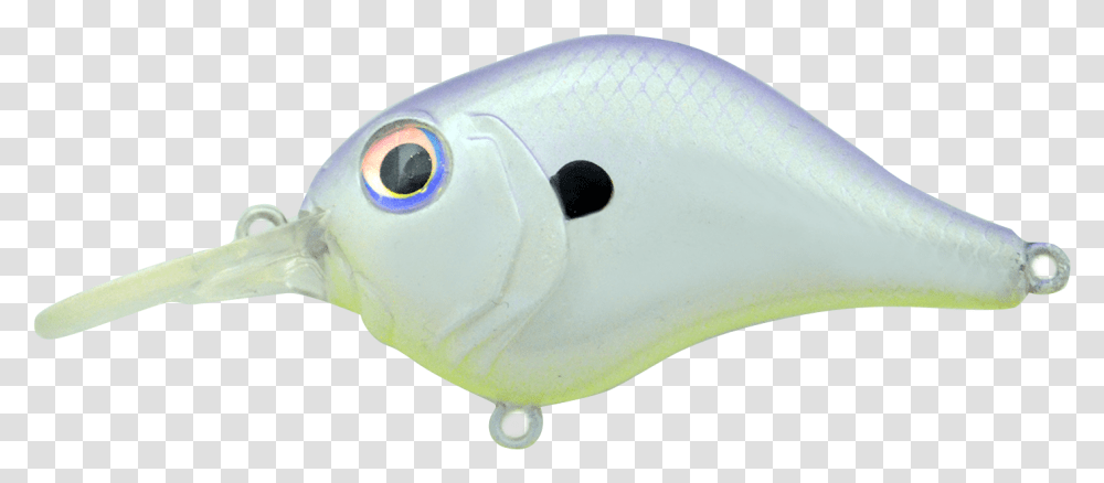 Purple Smoke Mr6 695, Surgeonfish, Sea Life, Animal, Shark Transparent Png