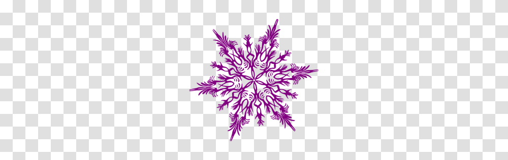 Purple Snowflake Icon, Maroon, Sweets, Food, Confectionery Transparent Png