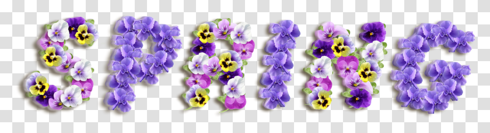 Purple Spring Clipart Download Transparent Png