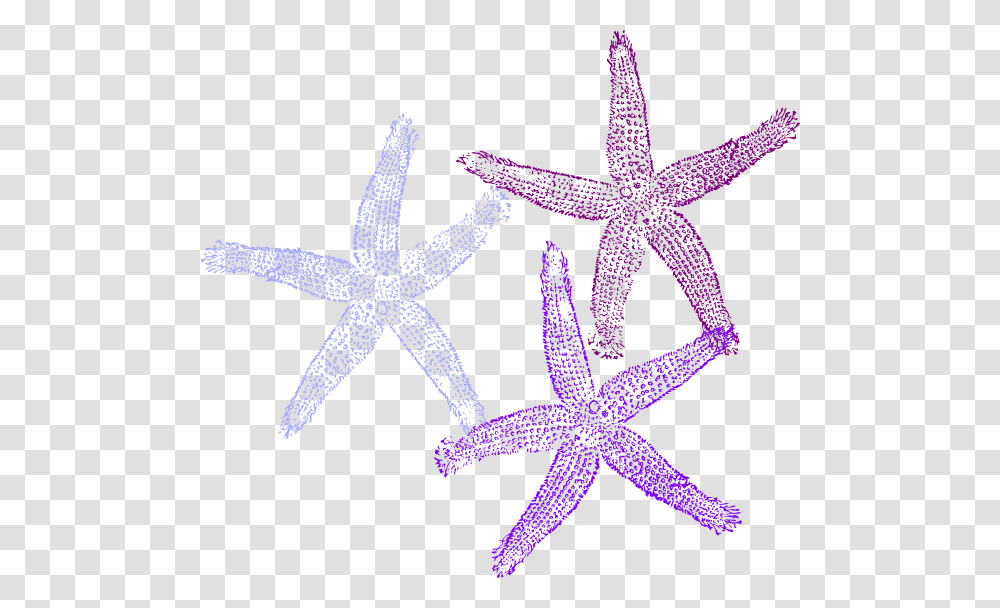 Purple Starfish Clipart Background Coral Clipart, Invertebrate, Sea Life, Animal, Star Symbol Transparent Png